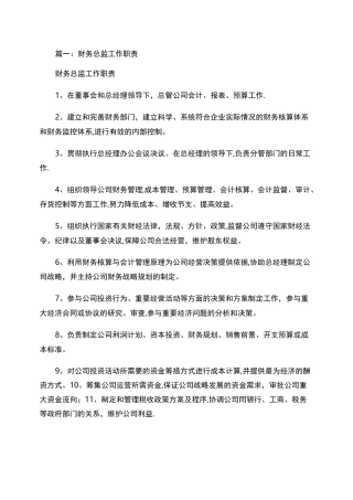 集团财务总监岗位职责(共9篇).