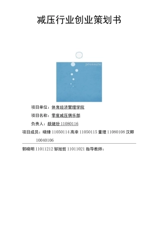 减压行业创业项目策划书