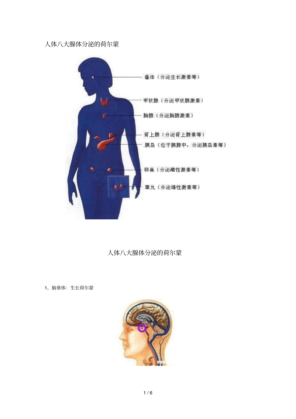 人体八大腺体分泌荷尔蒙_第1页