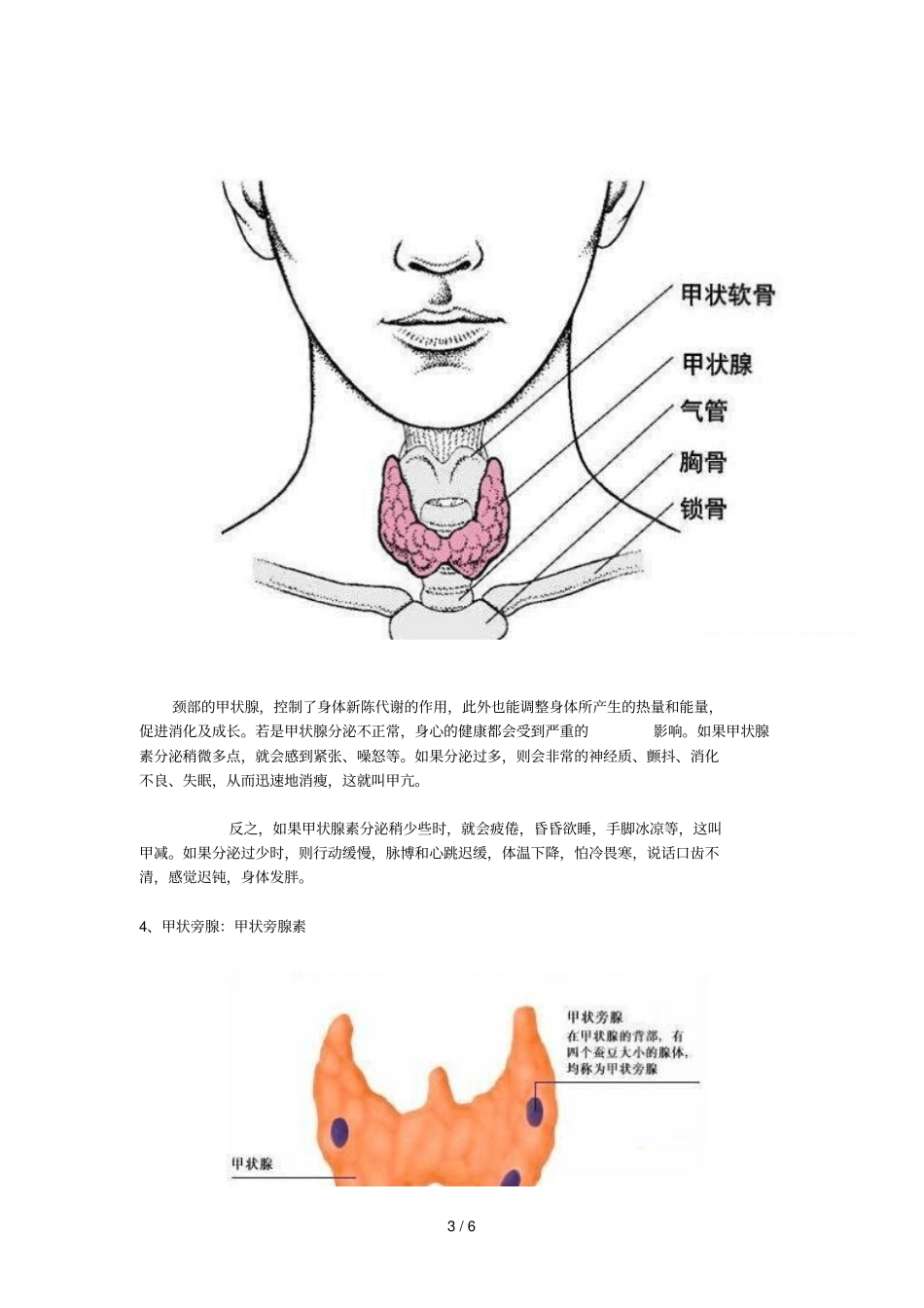 人体八大腺体分泌荷尔蒙_第3页
