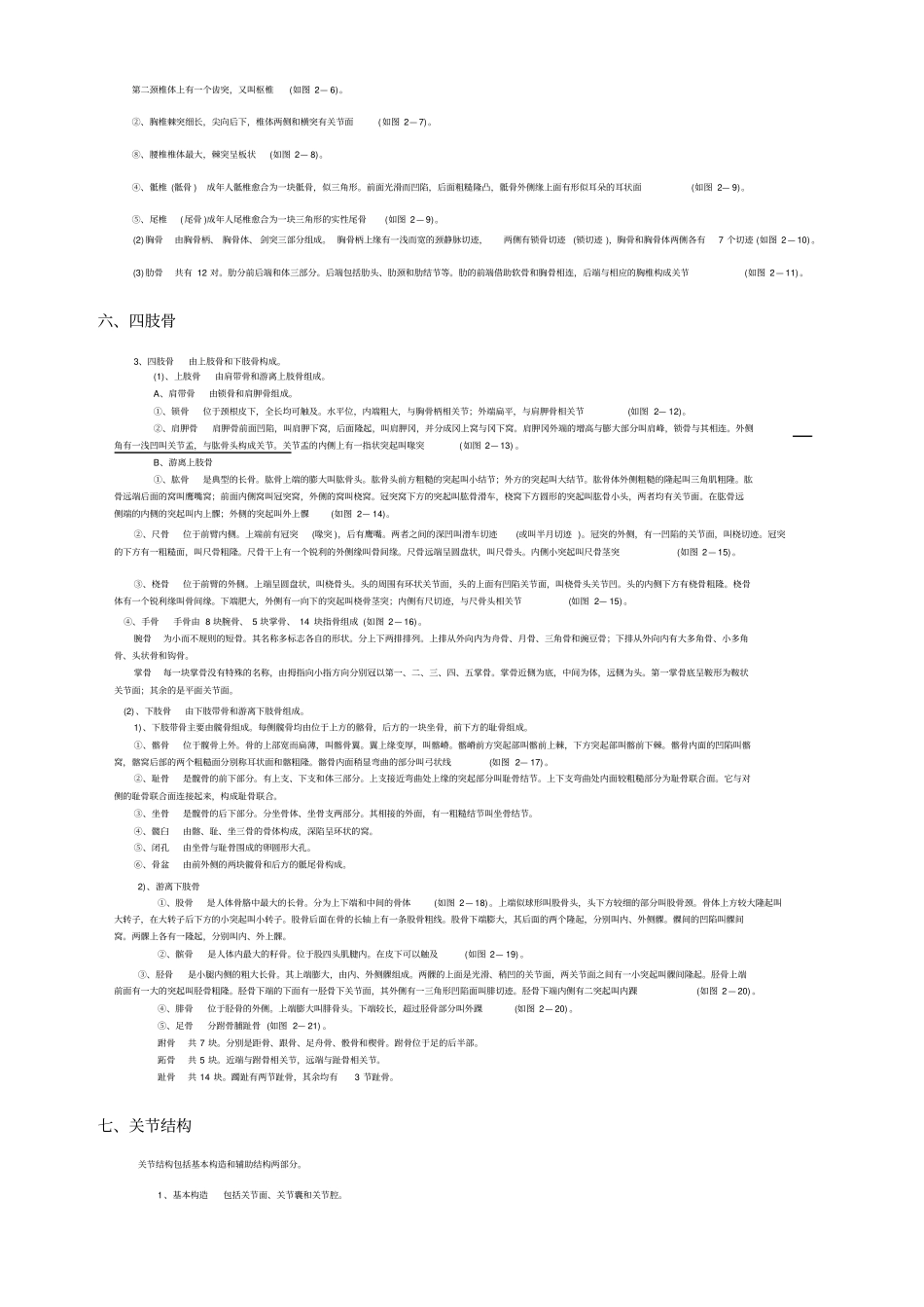 人体各部位名称及体表格标志_第3页