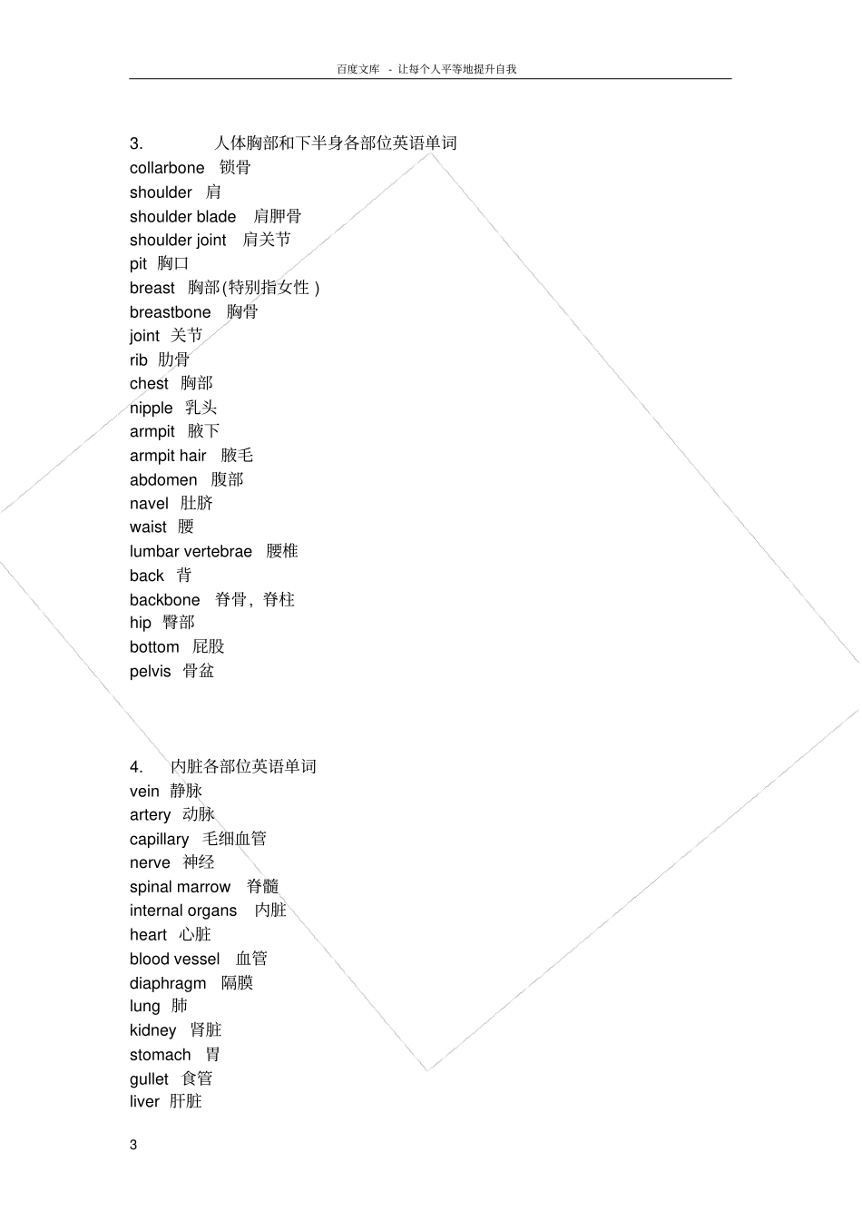 人体各部位英语单词_第3页