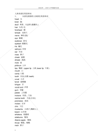 人体各部位英语单词