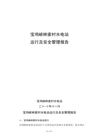 水电站运行及安全管理报告