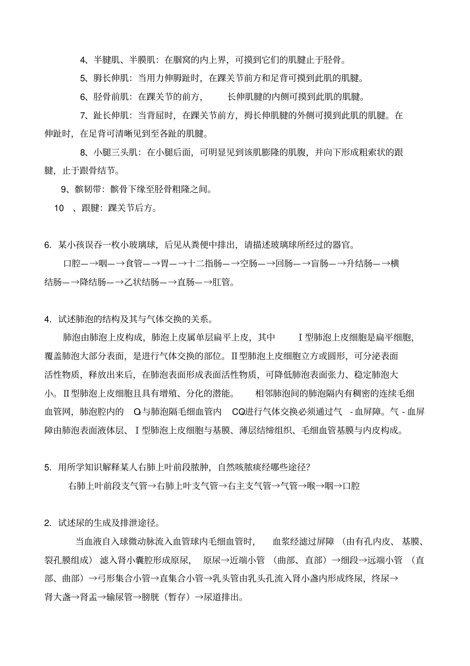 人体形态学自测题部分_第2页