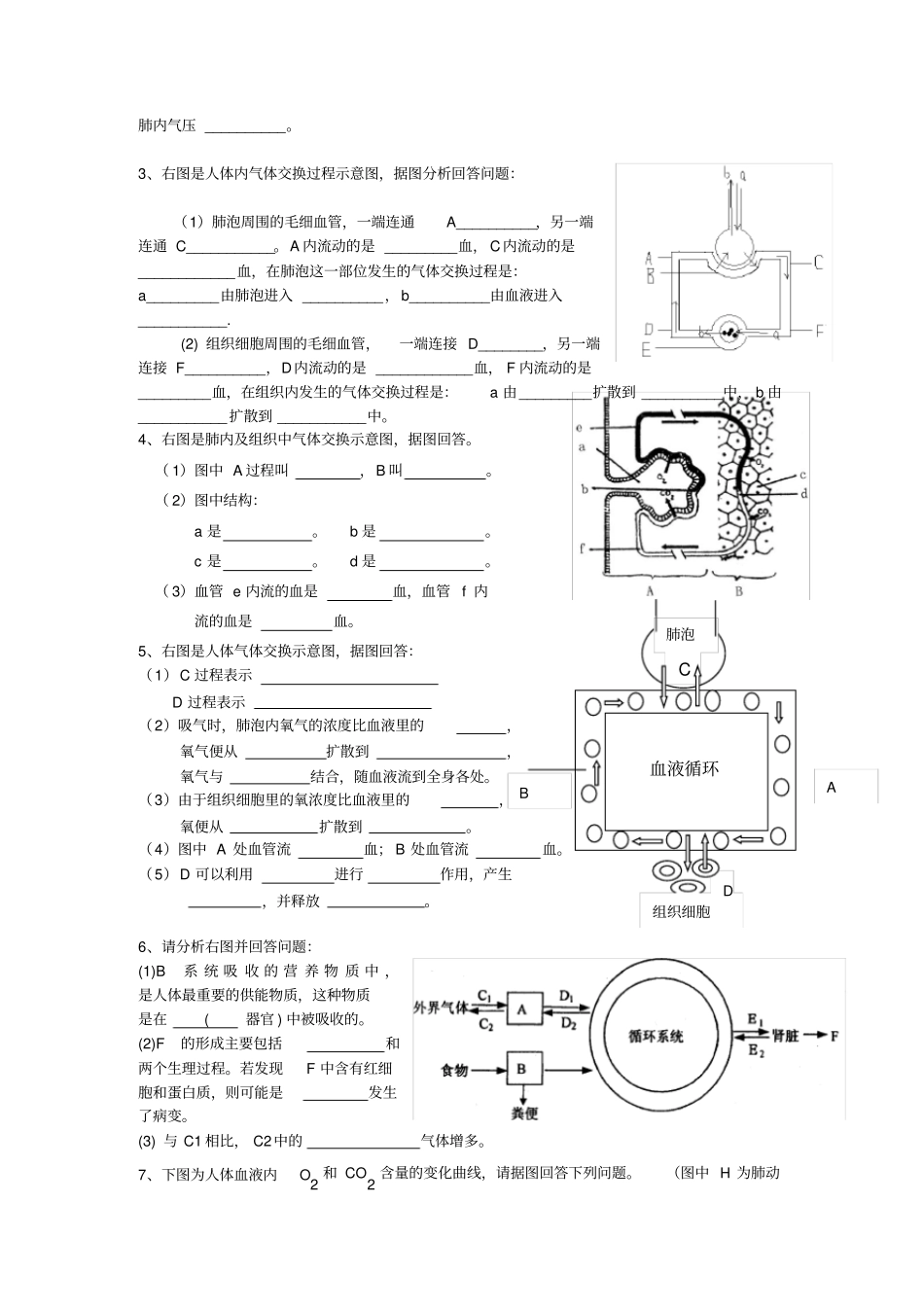 人体的呼吸知识点、习题复习_第3页