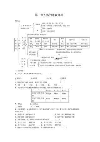 人体的呼吸知识点、习题复习