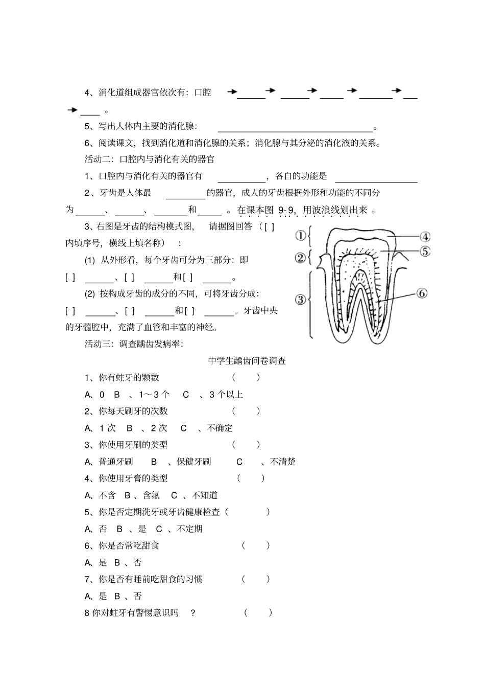 人体的消化与吸收1_第2页