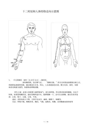 人体经络穴位走向