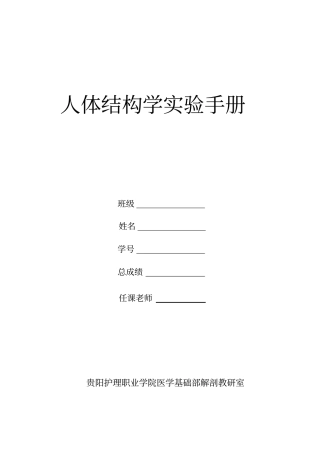 人体结构学试验手册