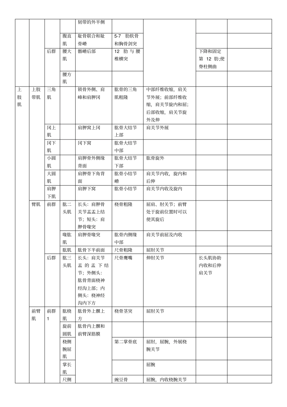 人体肌肉重点总结_第3页