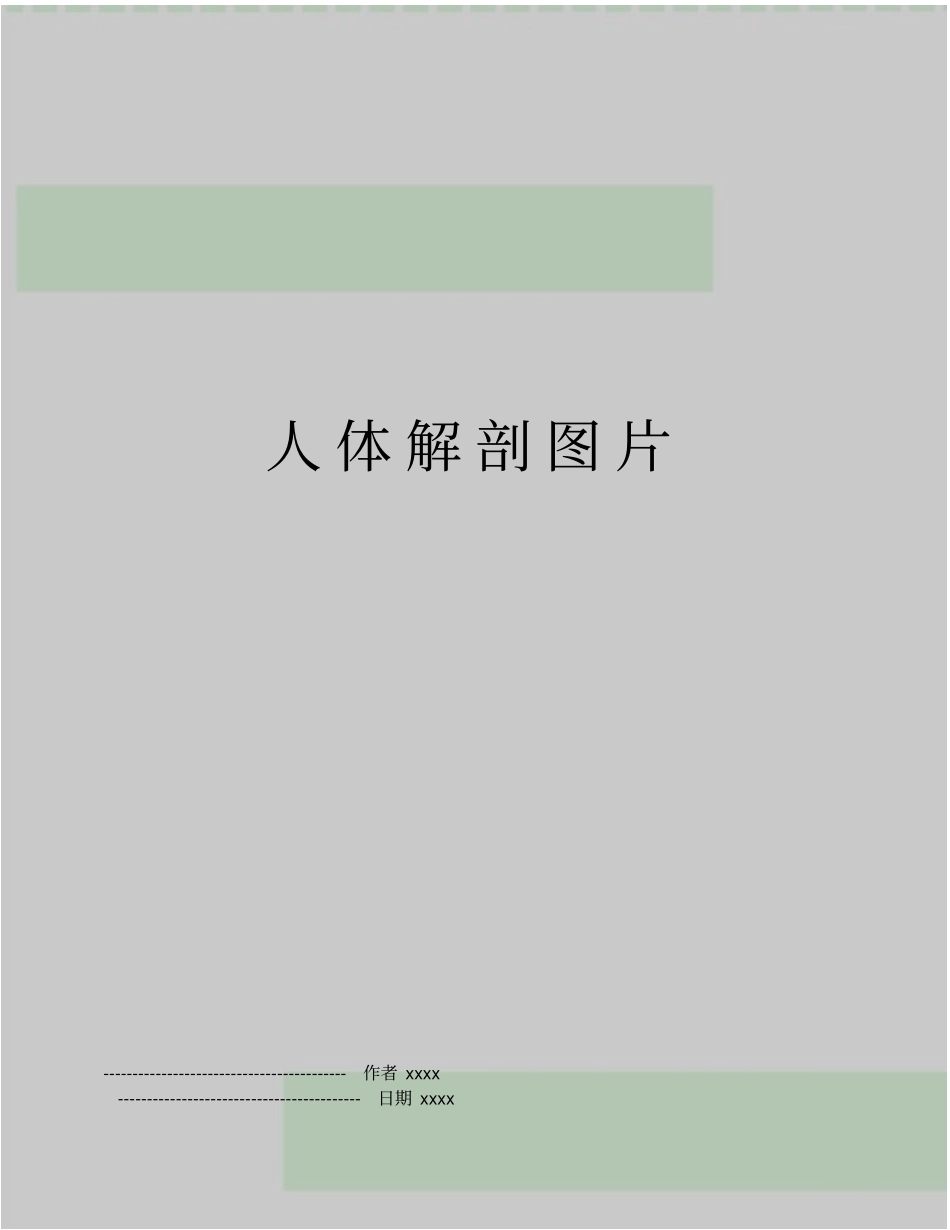 人体解剖图片_第1页