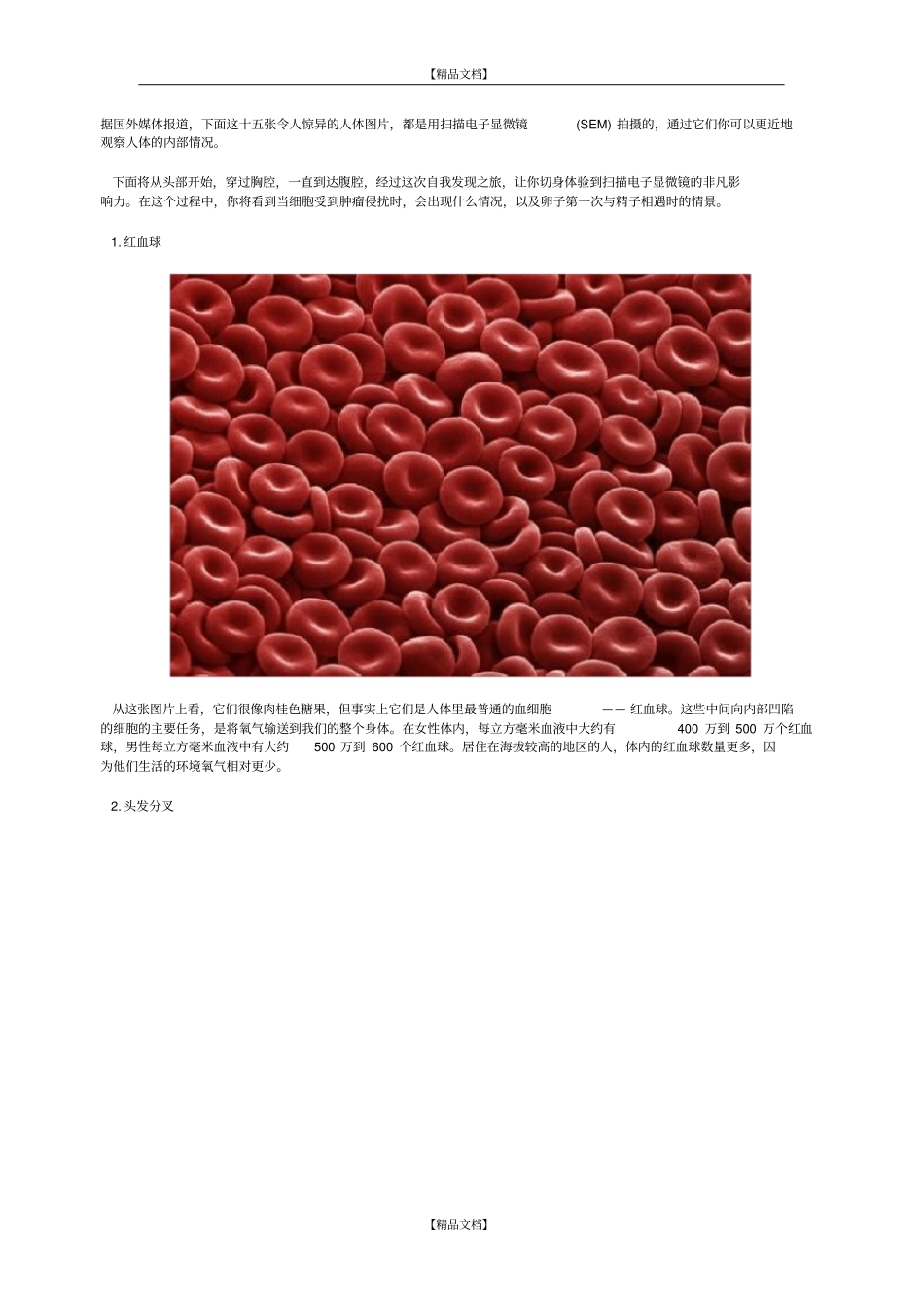 人体解剖图片_第2页