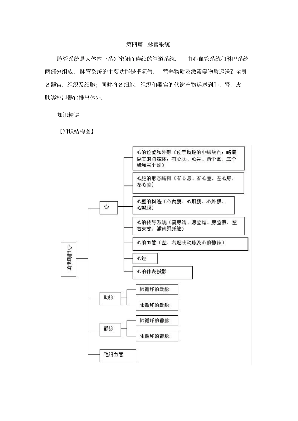 人体解剖学基础_脉管系统总结及习题_第1页