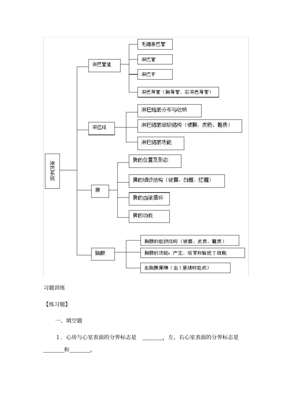 人体解剖学基础_脉管系统总结及习题_第2页