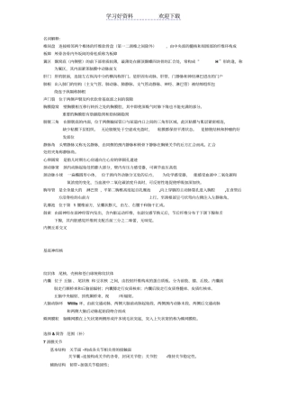 人体解剖学复习资料名词解释其他