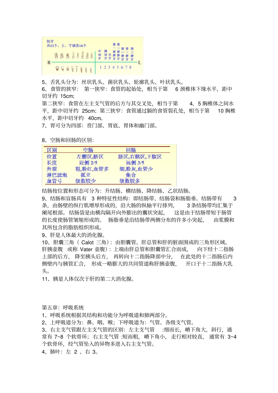 人体解剖学期末考试_第3页