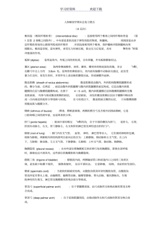 人体解剖学期末总复习要点