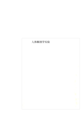 人体解剖学试验