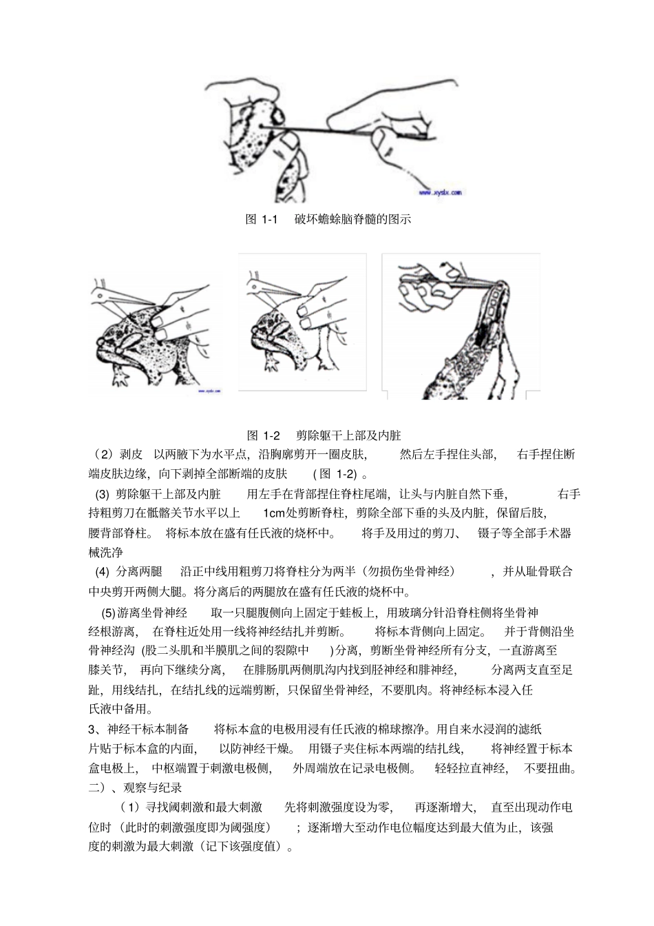 人体解剖生理学试验讲义_第2页