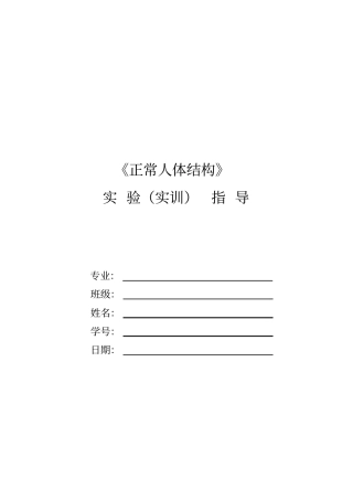 人体解剖试验指导汇总