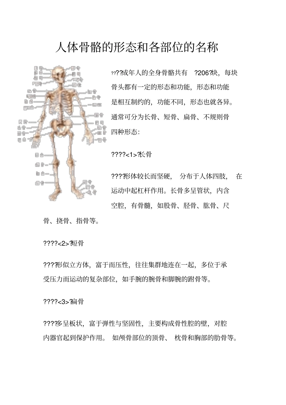 人体骨骼的形态和各部位的名称_第1页
