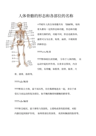 人体骨骼的形态和各部位的名称