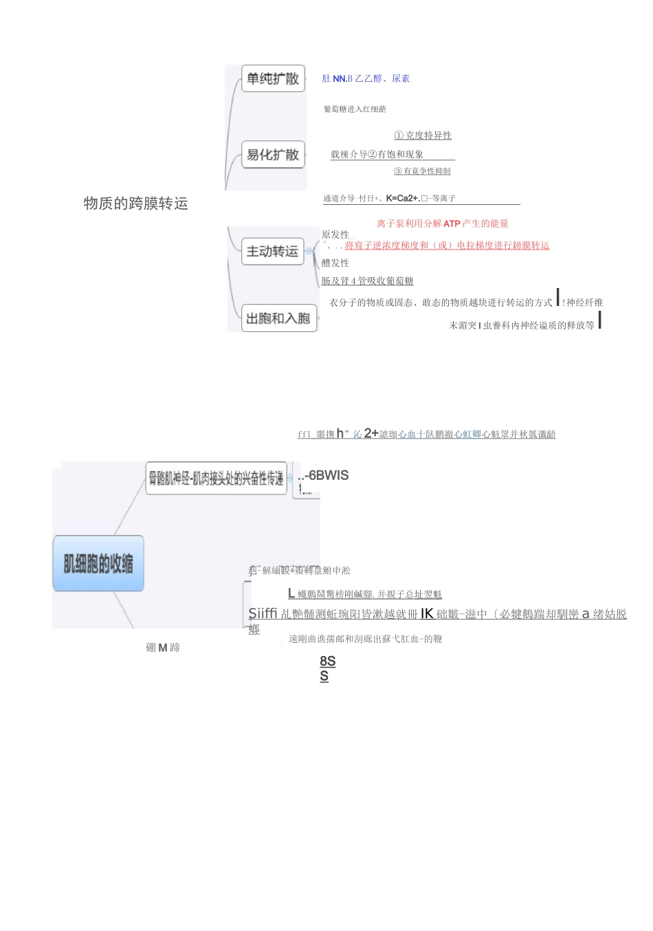 生理学框架图_第1页
