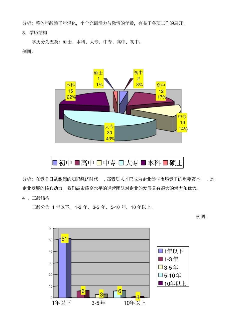 人力资源分析报告_第2页