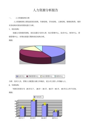 人力资源分析报告