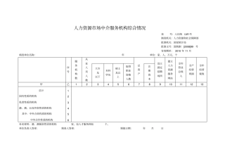 人力资源场中介服务机构综合情况