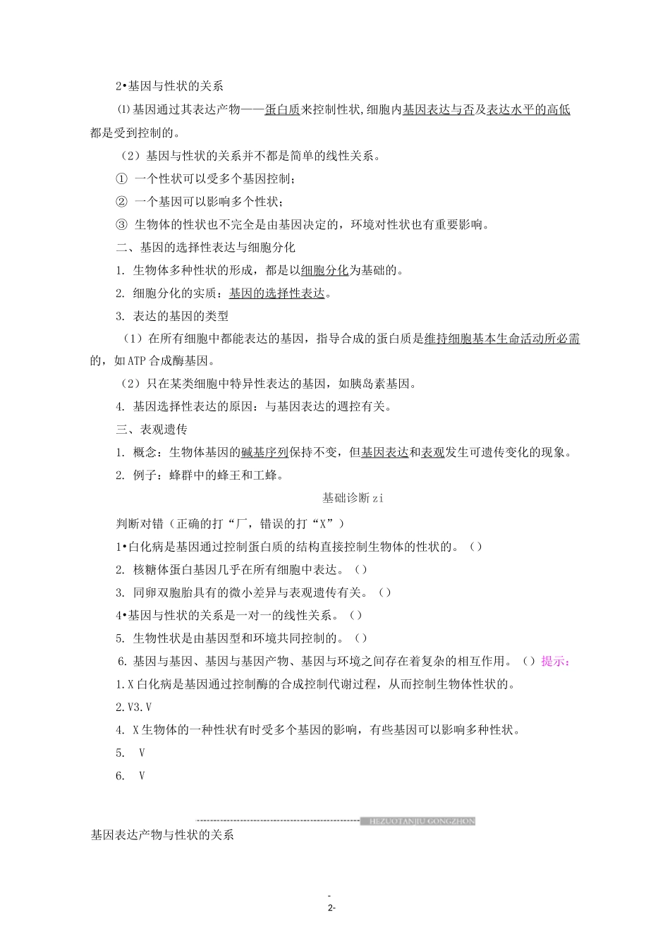 高中生物 第4章 第2节 基因表达与性状的关系教学案 新人教版必修第二册_第2页