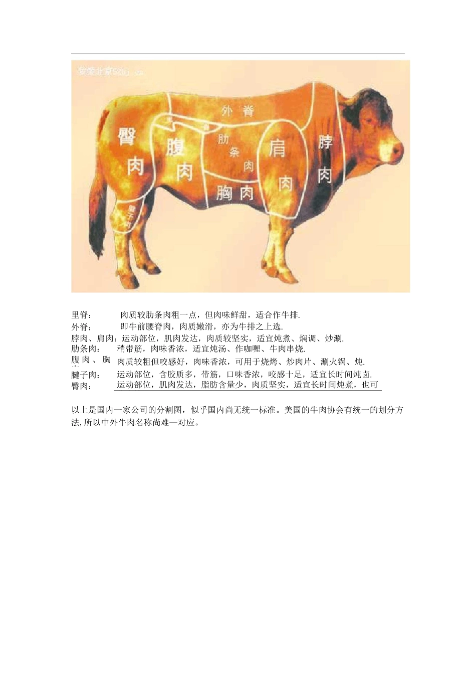 牛肉部位分割图_第1页