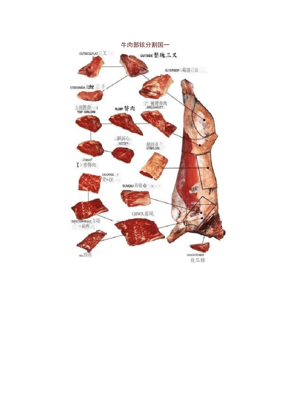 牛肉部位分割图_第2页