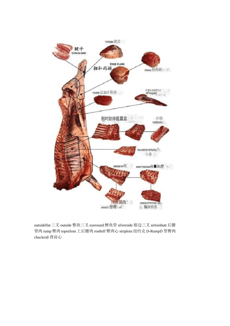 牛肉部位分割图_第3页