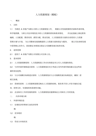 人力资源规划报告