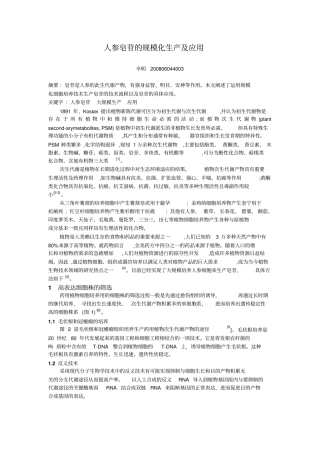 人参皂苷的规模化生产及应用