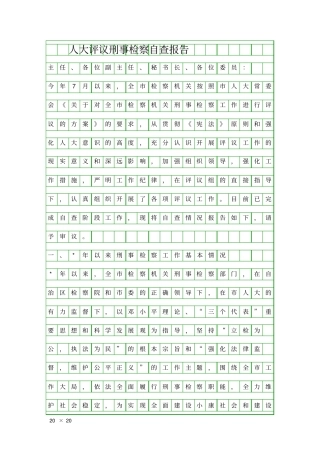 人大评议刑事检察自查报告精品工作报告