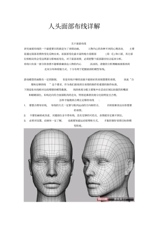 人头面部布线详解重点讲义资料