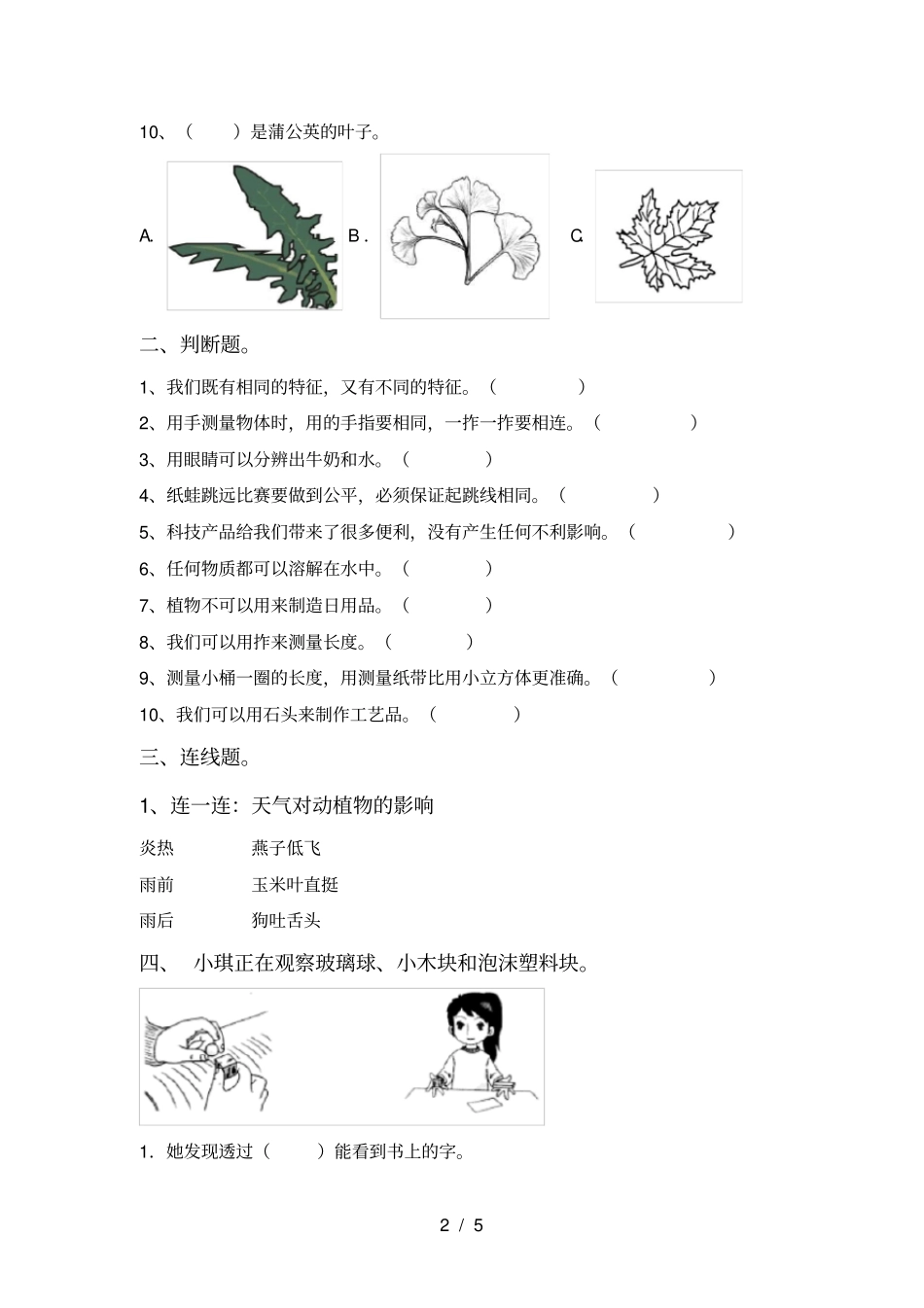 人教版一年级科学上册期中考试卷_第2页