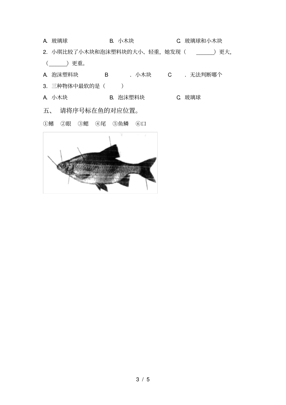 人教版一年级科学上册期中考试卷_第3页