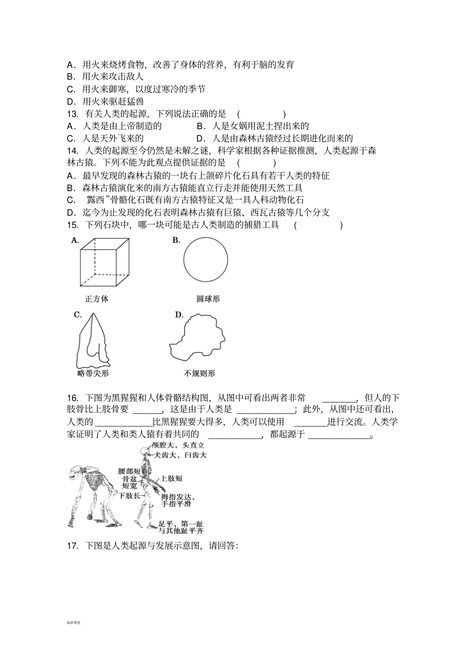 人教版七下生物人的由来人类的起源和发展同步练习_第2页