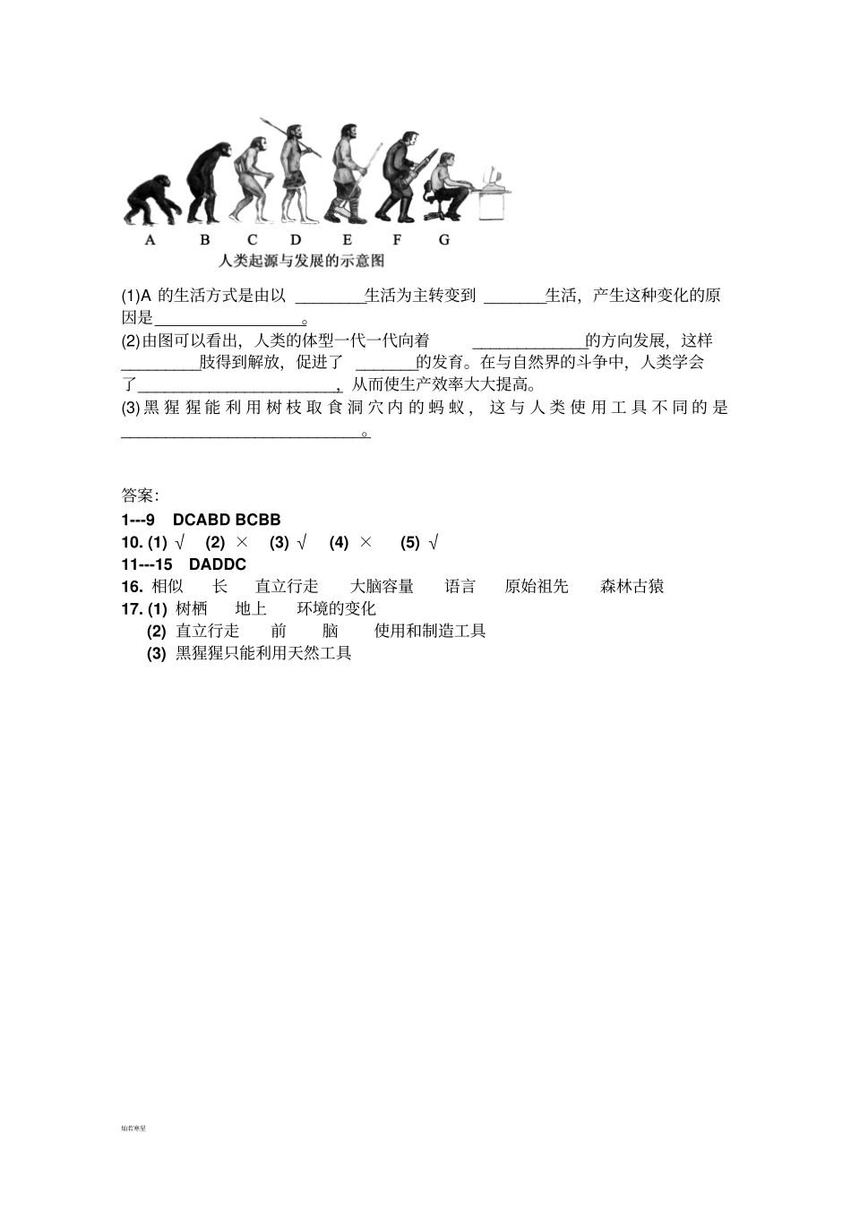 人教版七下生物人的由来人类的起源和发展同步练习_第3页