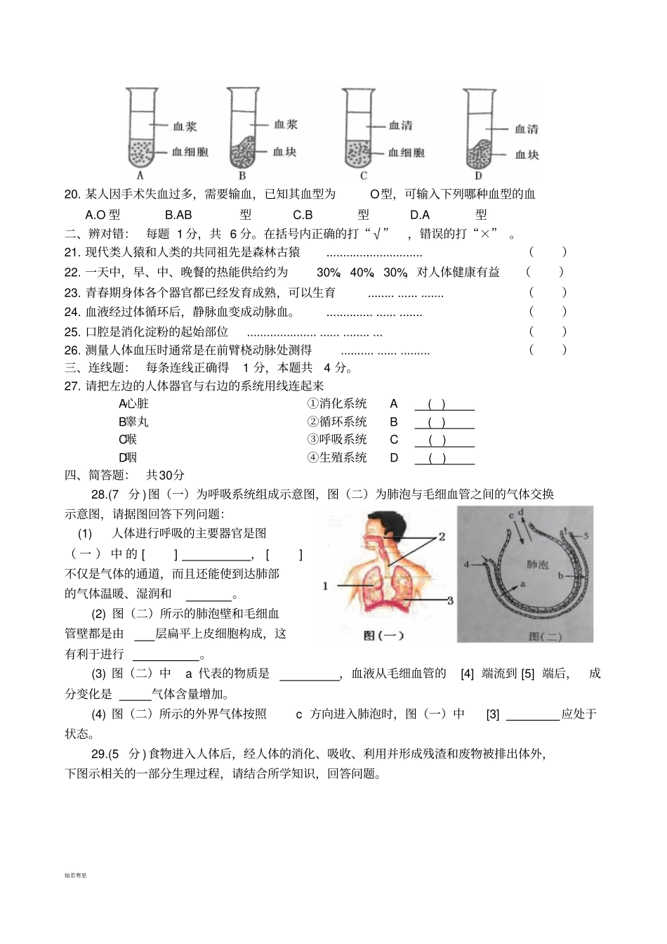 人教版七下生物测试题1_第3页