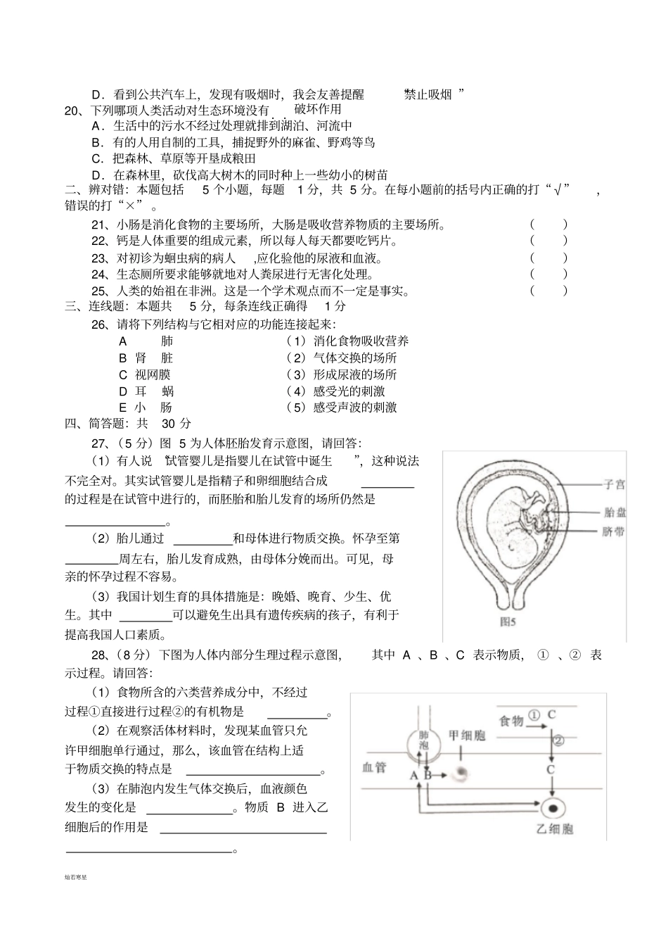 人教版七下生物试题三_第3页