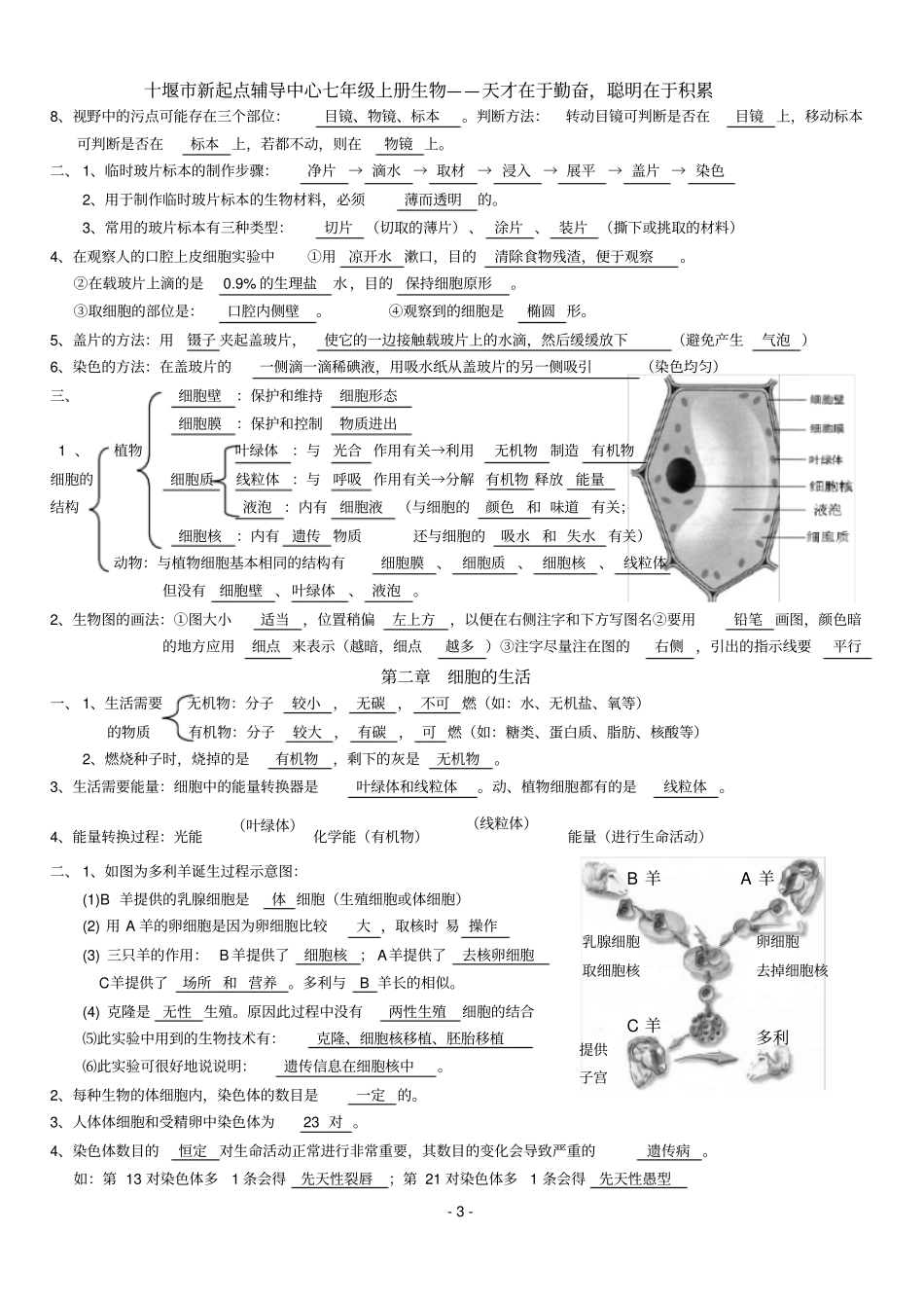 人教版七年级上册生物知识点归纳_第3页