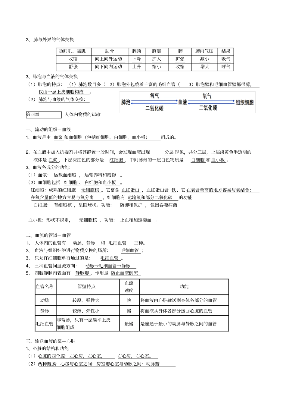 人教版七年级下册生物复习提纲_第3页