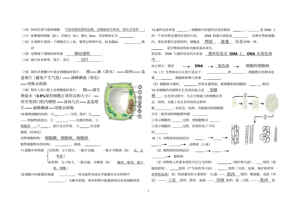 人教版七年级生物上册复习提纲填空型汇总_第2页