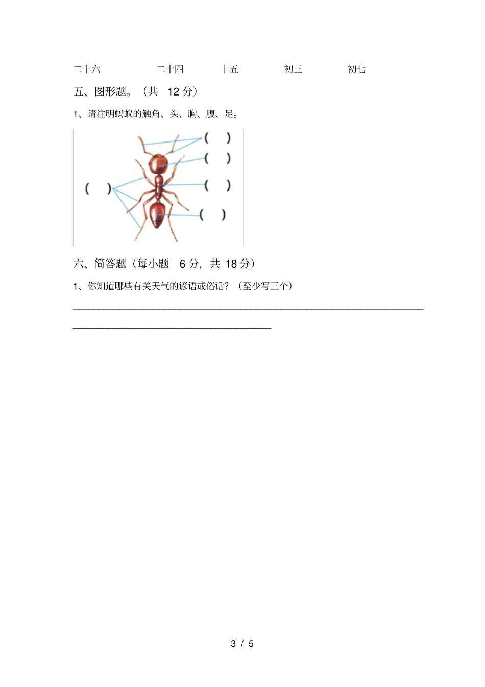 人教版三年级科学上册月考试卷及答案完美版_第3页