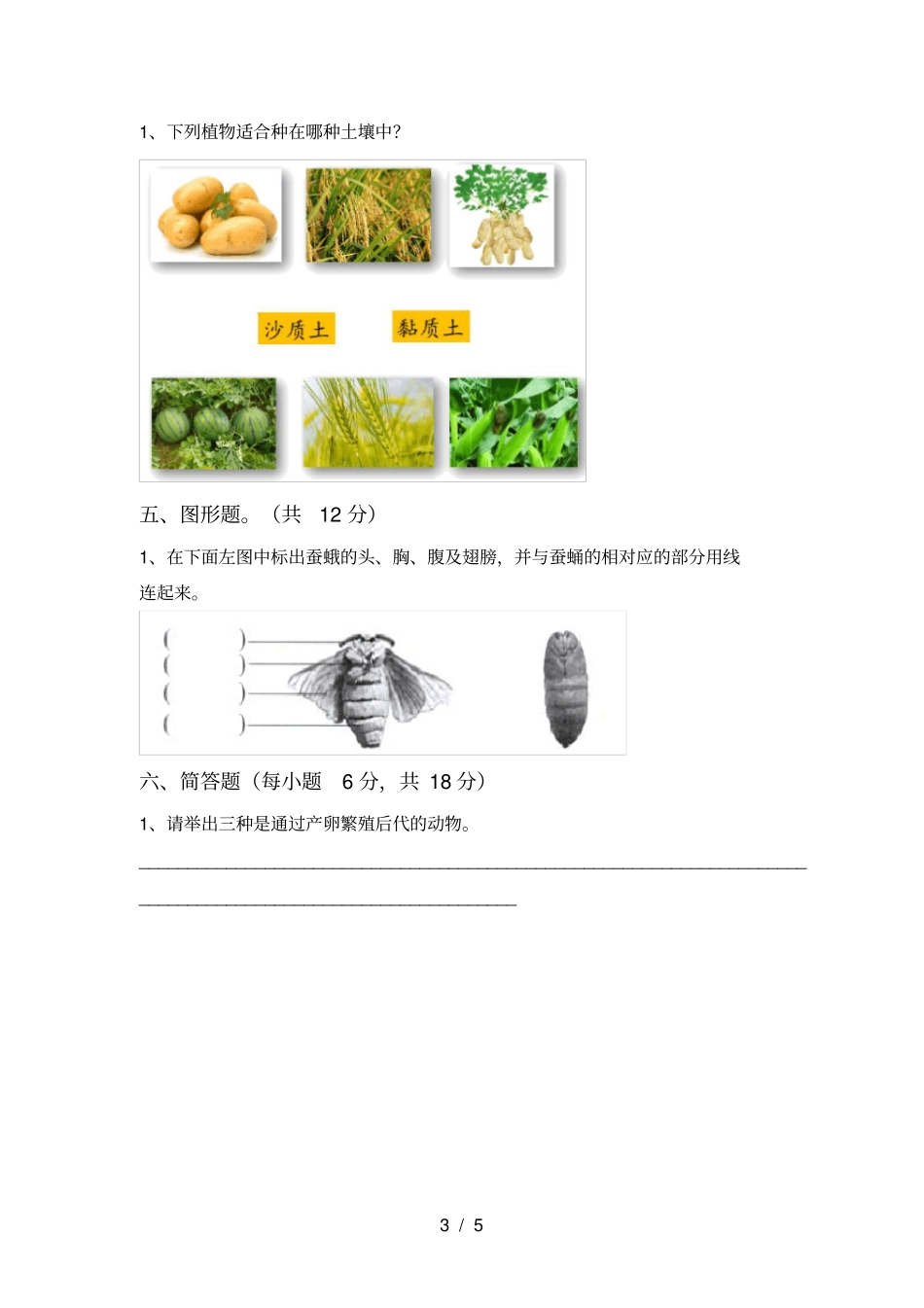 人教版三年级科学上册期中考试卷及答案【】_第3页